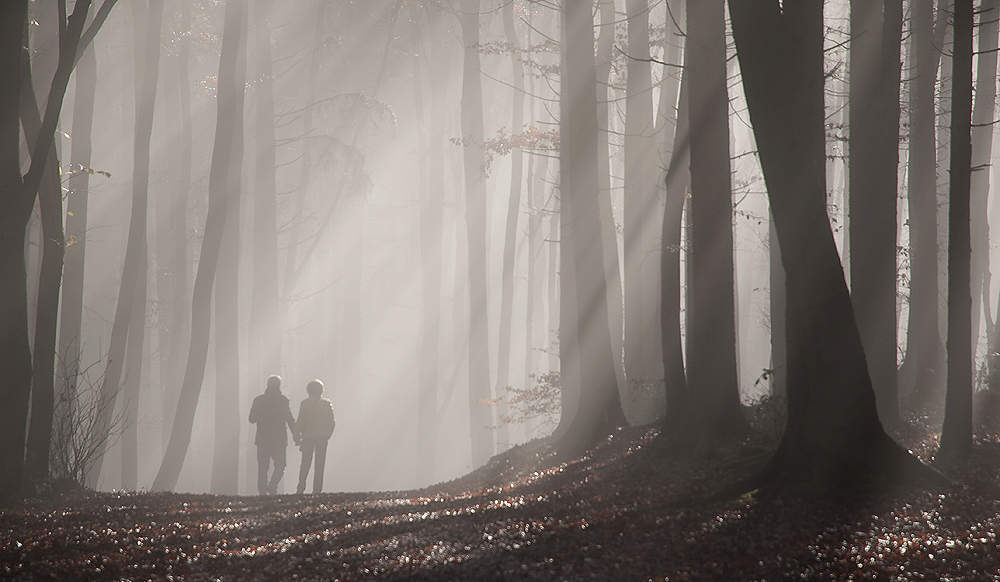 Herbstspaziergang