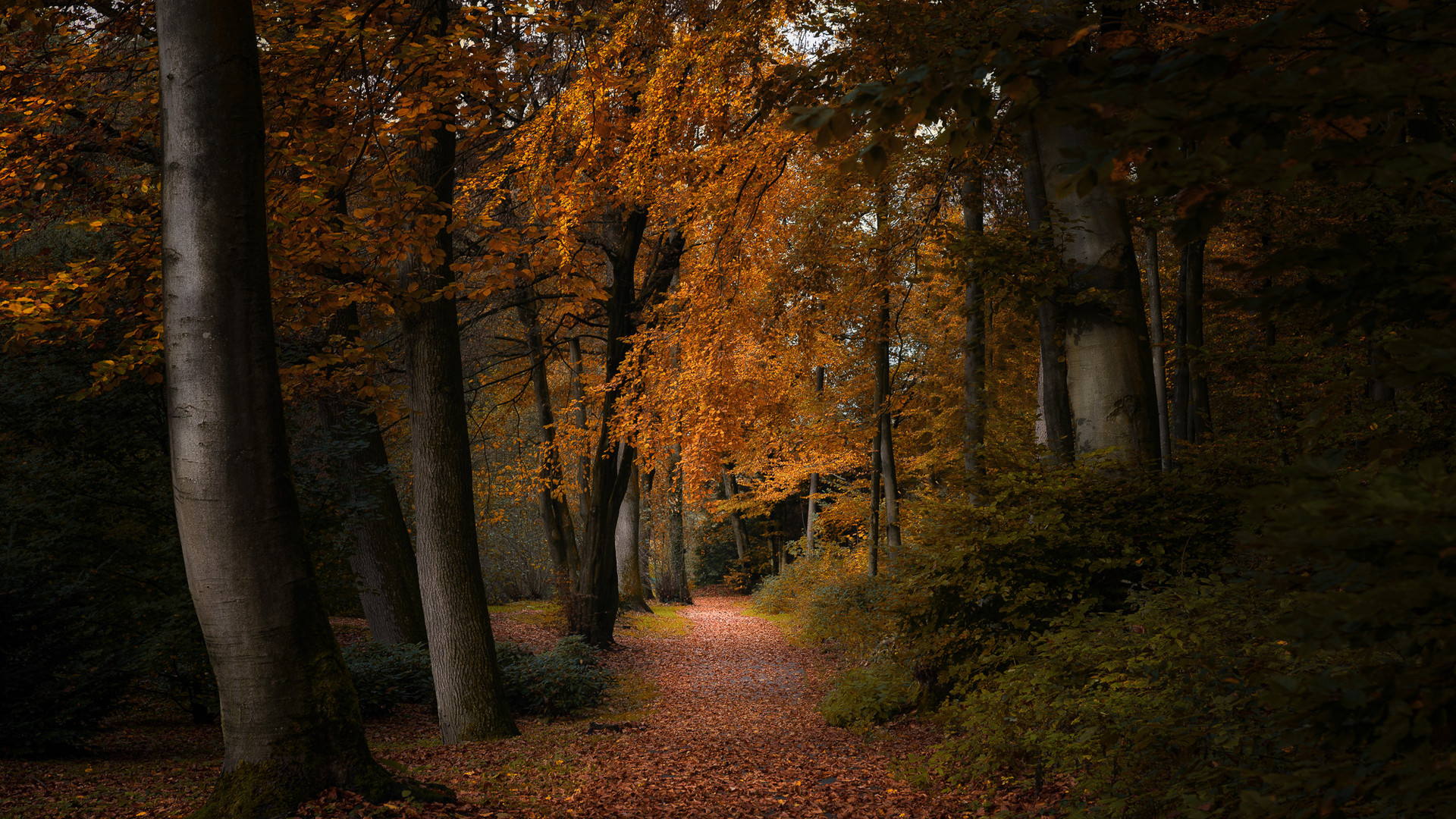 Herbstspaziergang