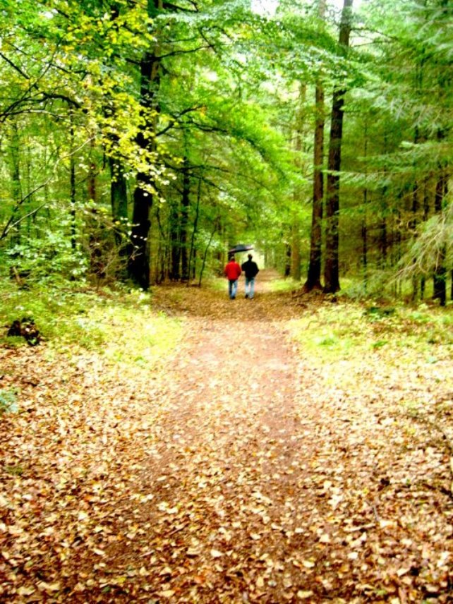 Herbstspaziergang