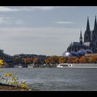 Herbstspaziergang