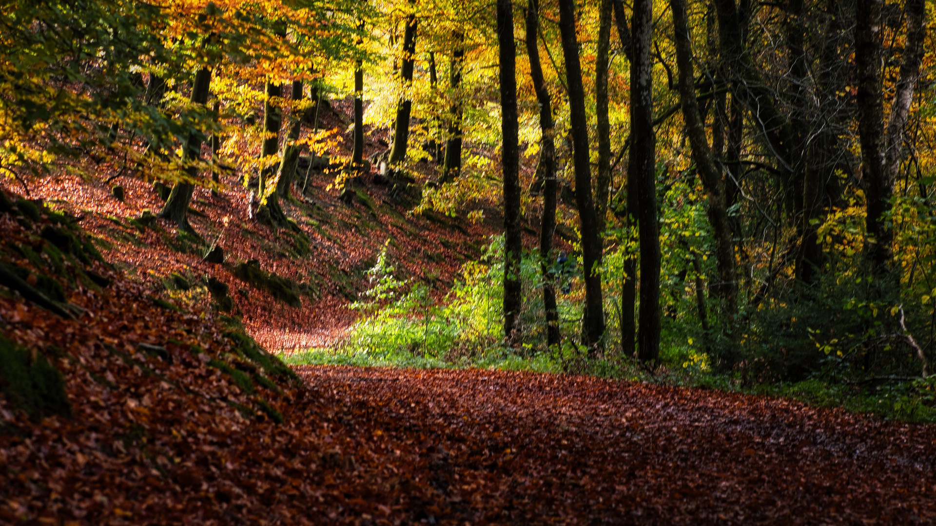 Herbstspaziergang