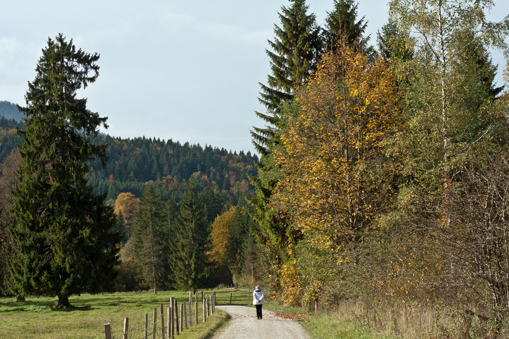 Herbstspaziergang -