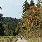 Herbstspaziergang -