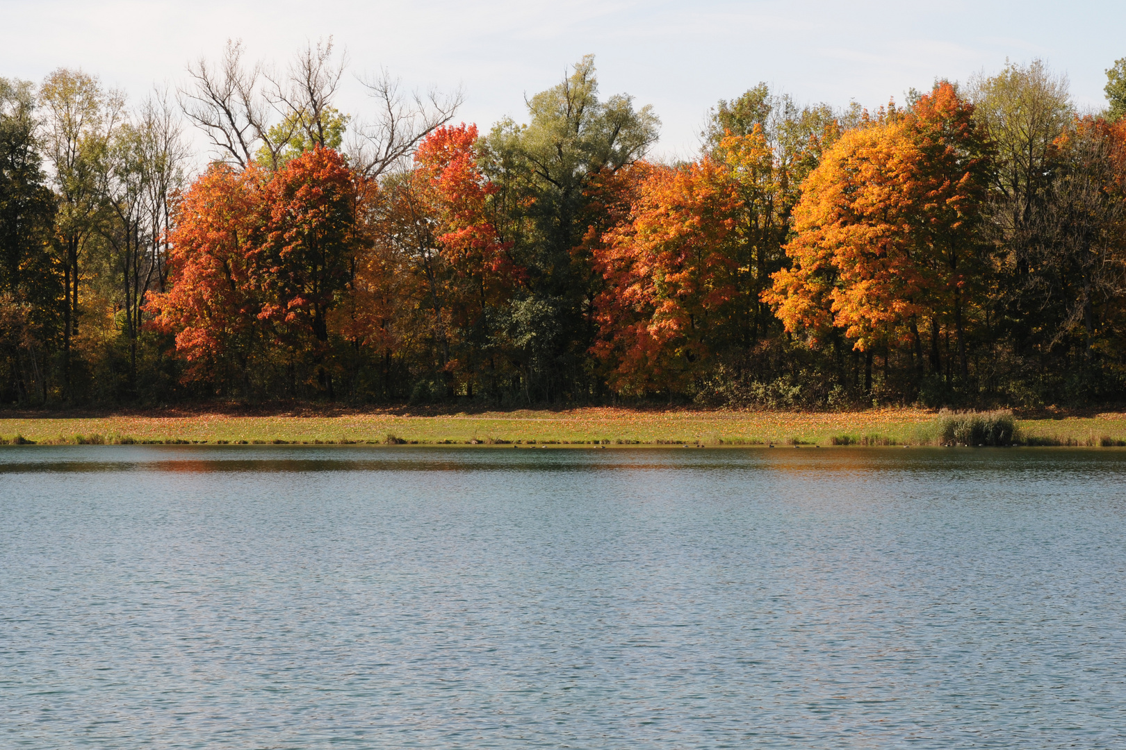 Herbstspaziergang