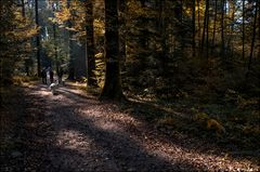 Herbstspaziergang