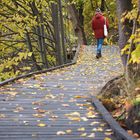 Herbstspaziergang