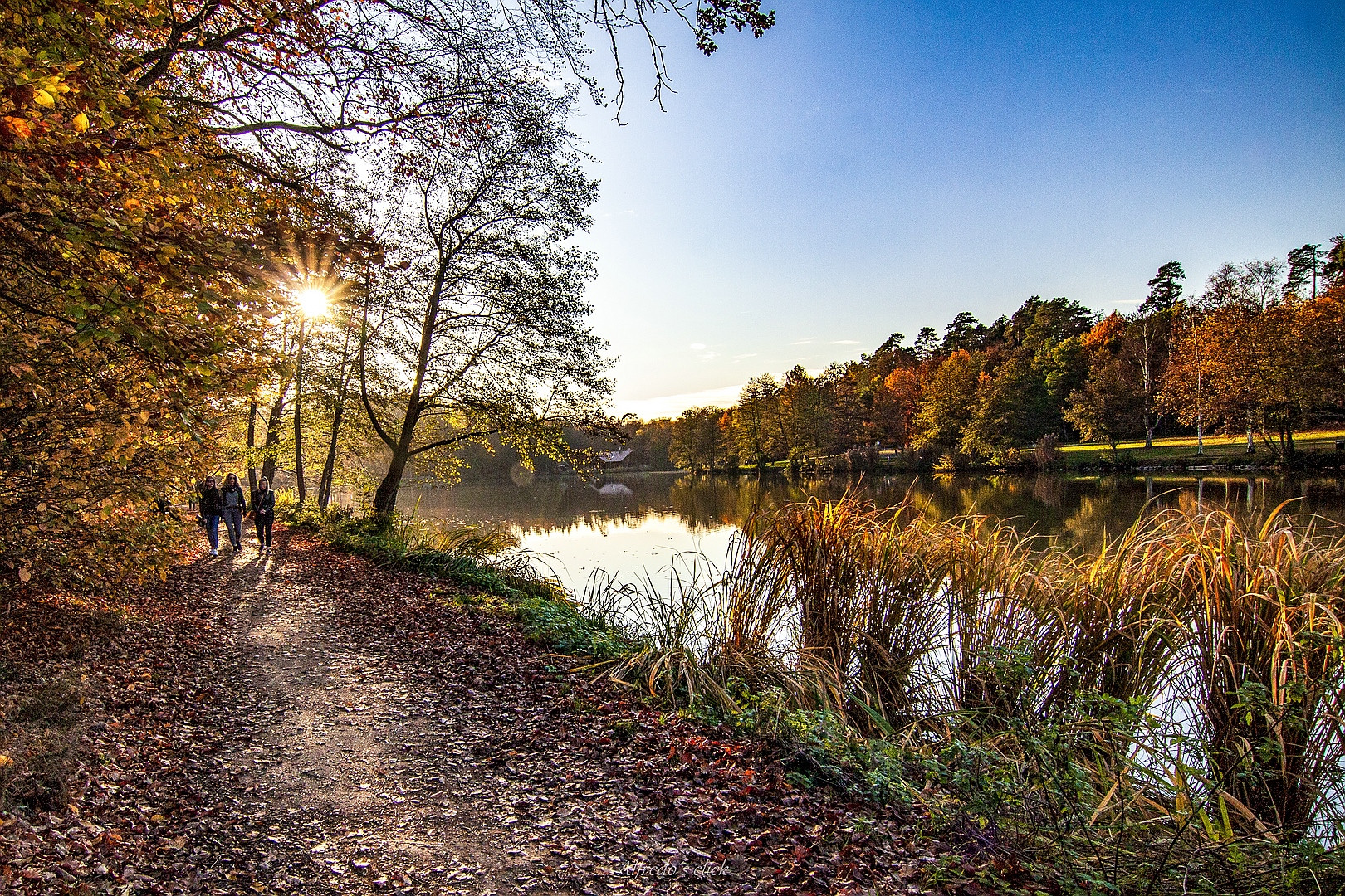 Herbstspaziergang