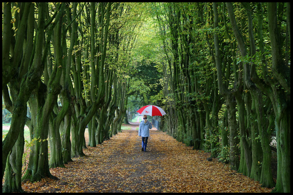 Herbstspaziergang