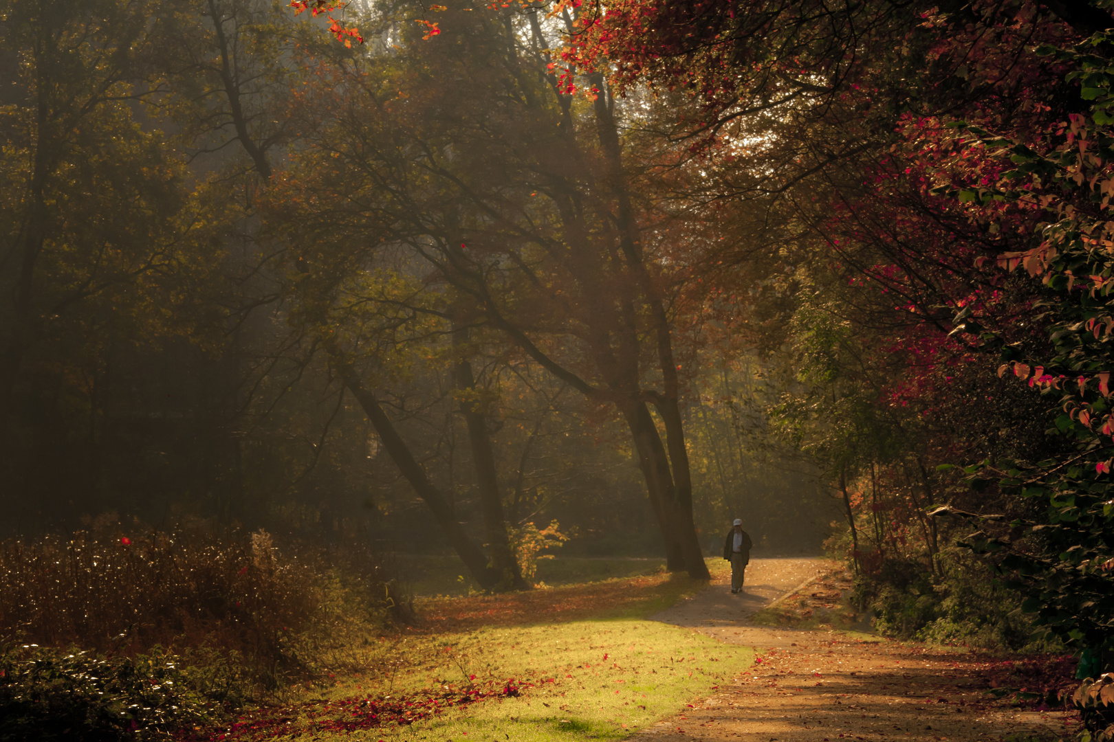 Herbstspaziergang