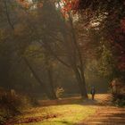 Herbstspaziergang