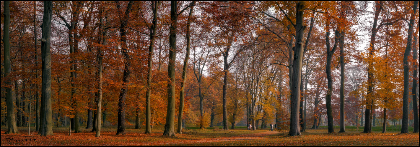 Herbstspaziergang ...