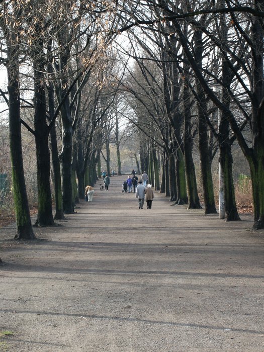 Herbstspaziergang