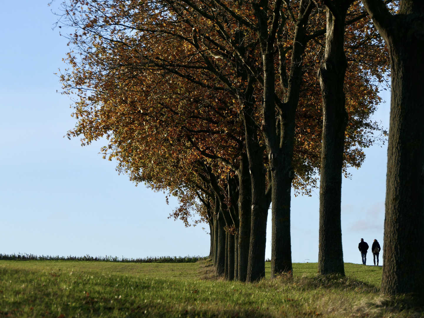 Herbstspaziergang