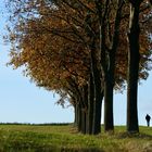 Herbstspaziergang