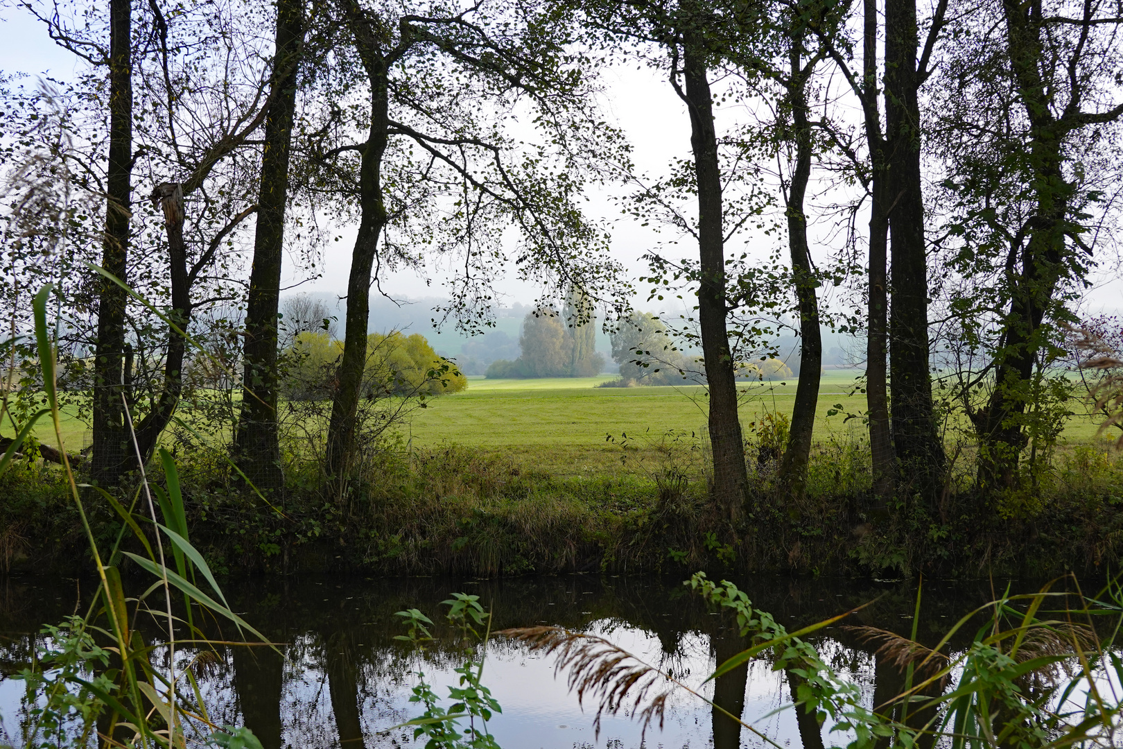 Herbstspaziergang 