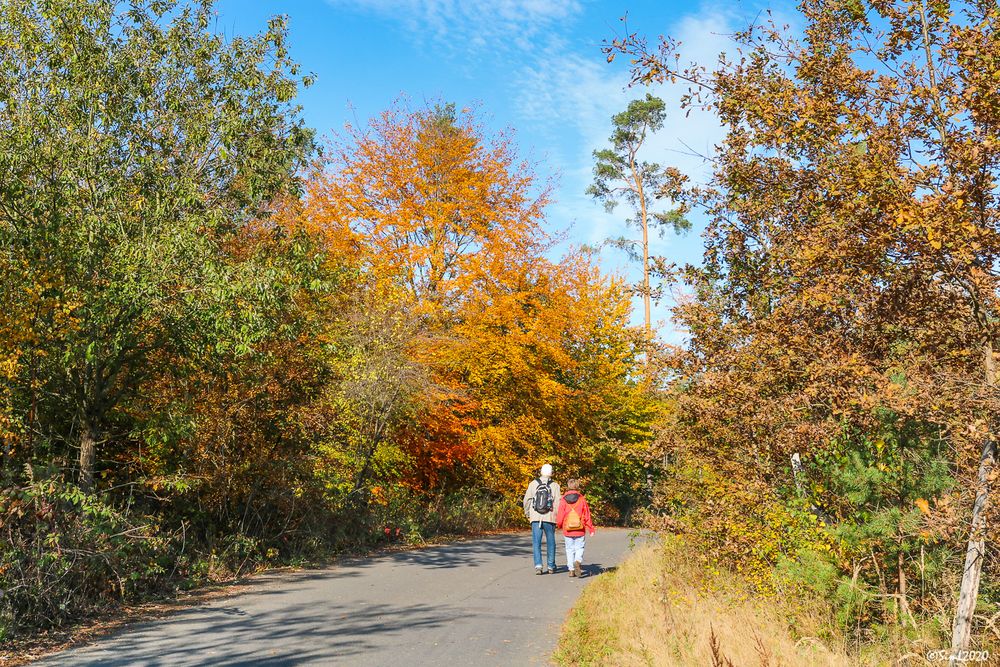 Herbstspaziergang