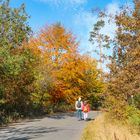 Herbstspaziergang