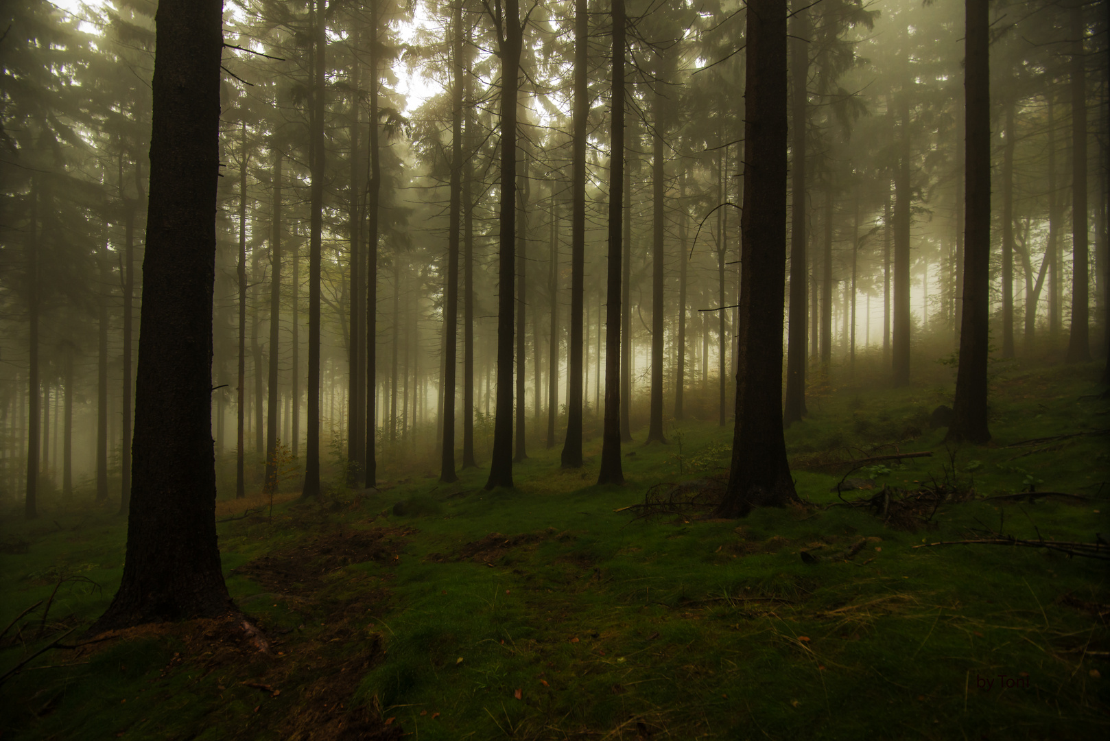 *** herbstspaziergang  ***