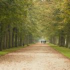 Herbstspaziergang