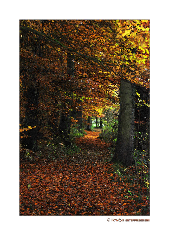 Herbstspaziergang