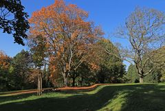 Herbstspaziergang