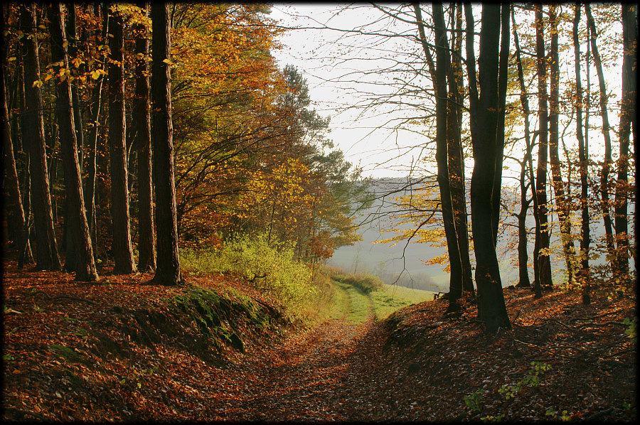 Herbstspaziergang