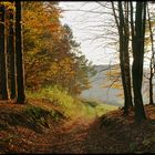 Herbstspaziergang