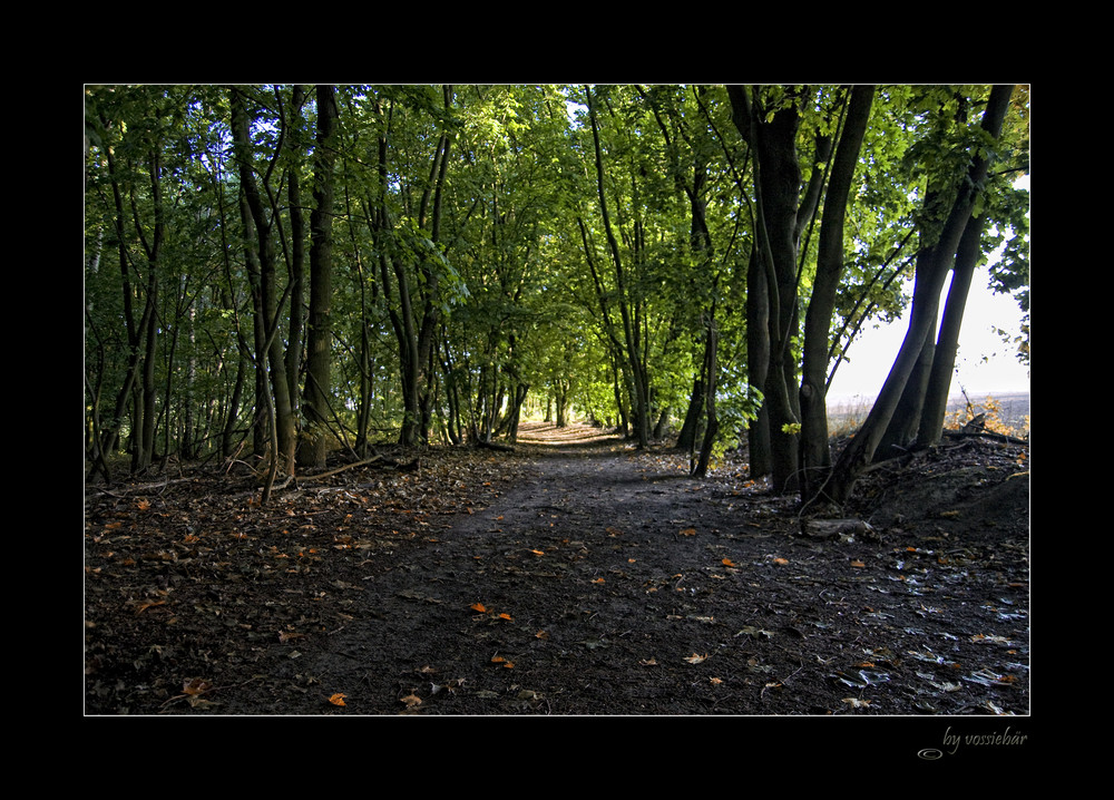 Herbstspaziergang