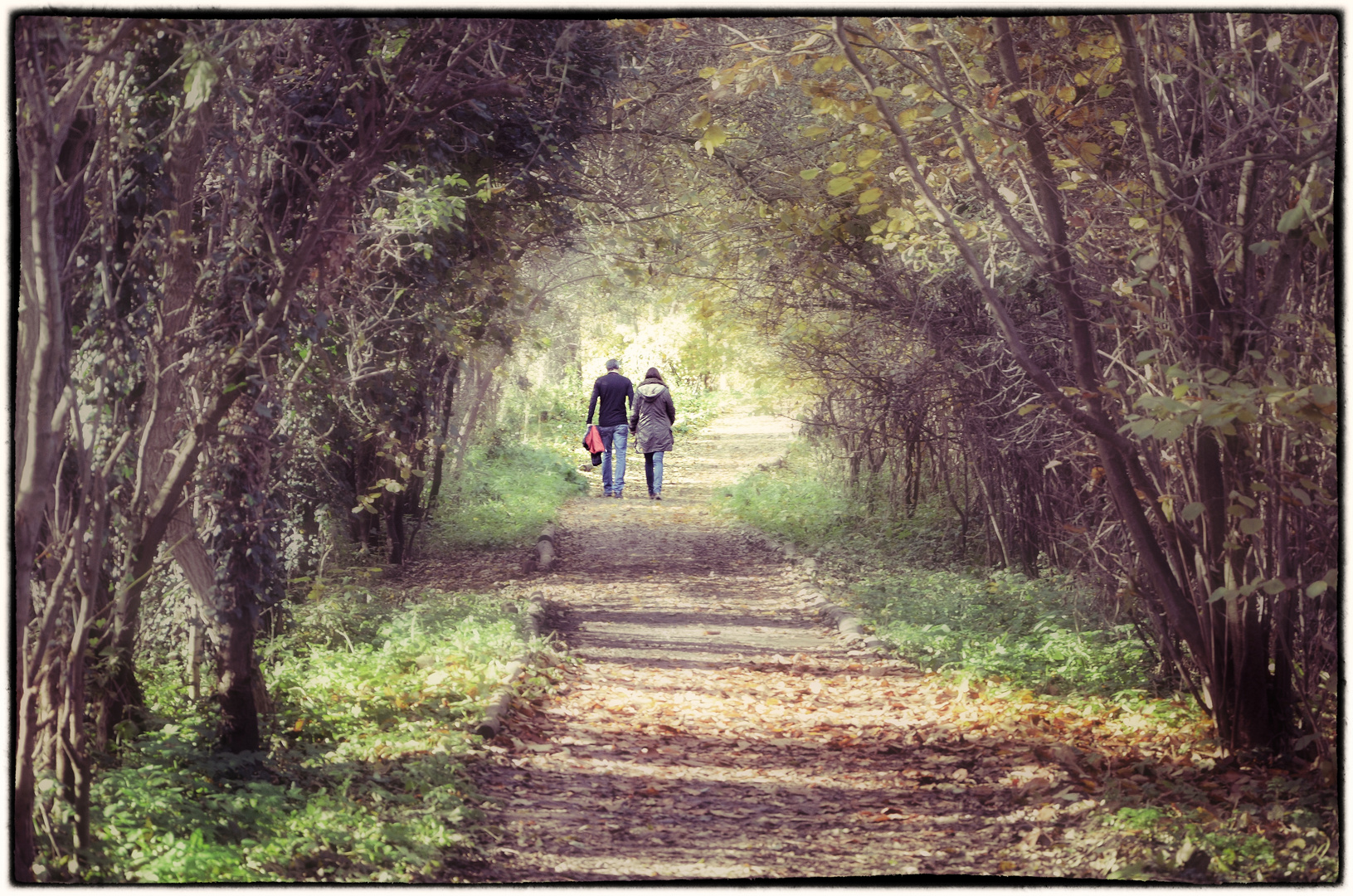 Herbstspaziergang