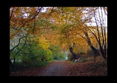 Herbstspaziergang