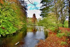 Herbstspaziergang