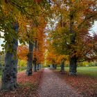 Herbstspaziergang ...