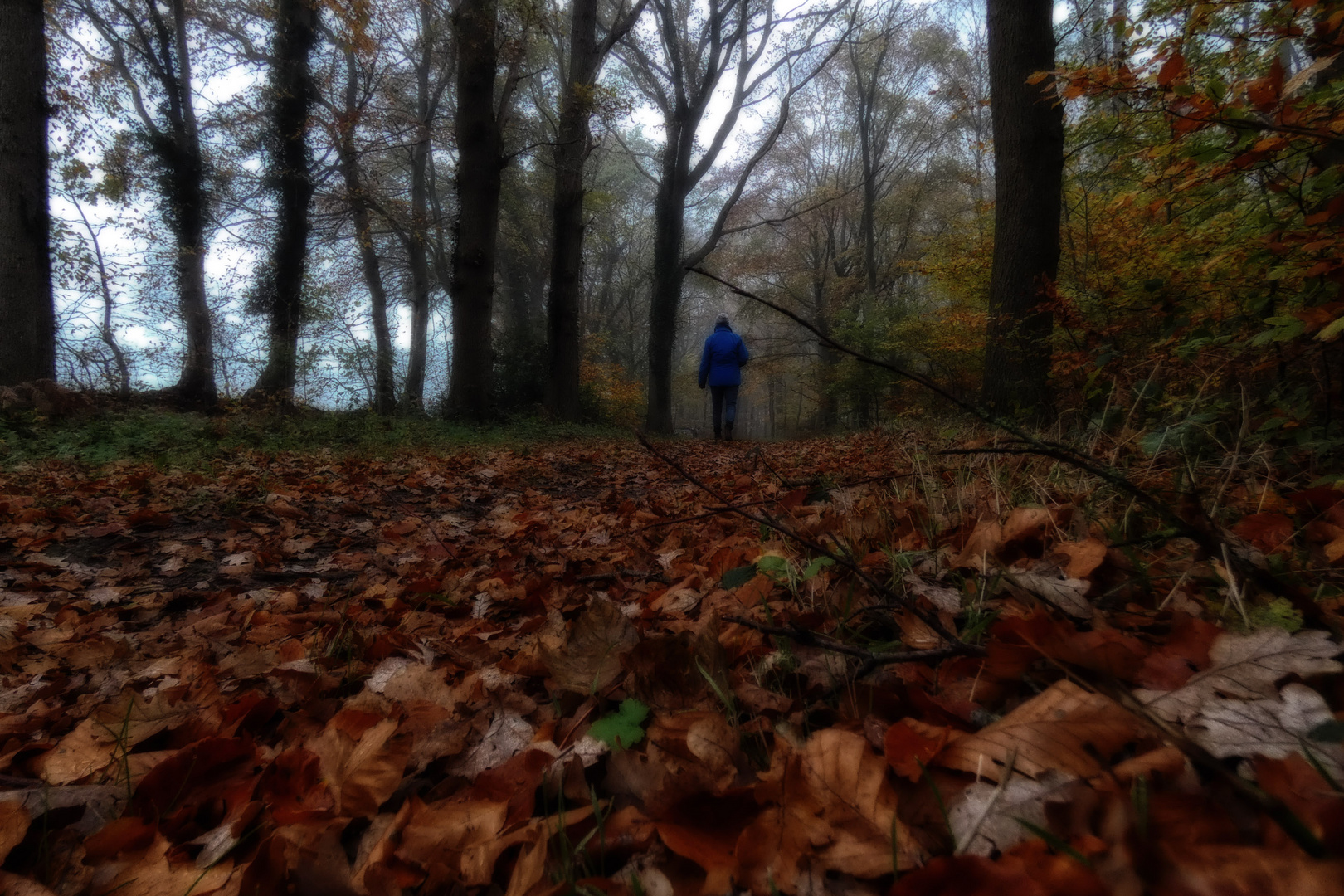 herbstspaziergang_