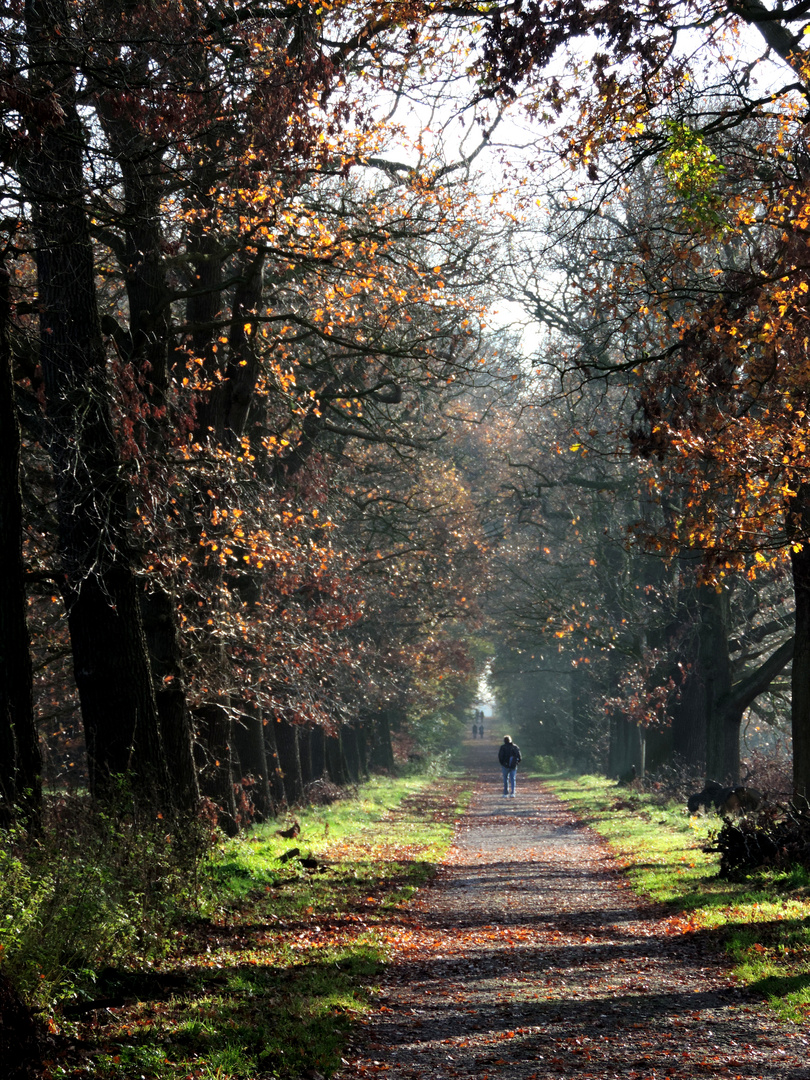 #...Herbstspaziergang..........#