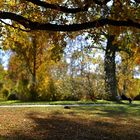 Herbstspaziergang