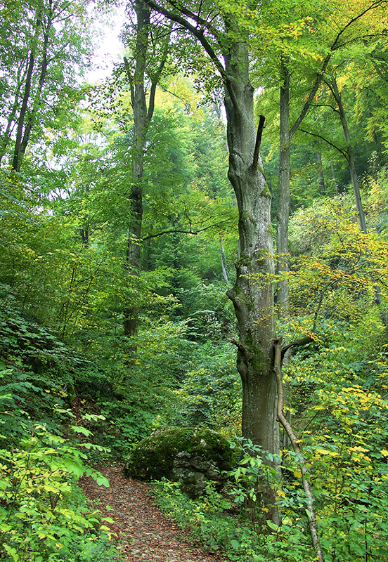 Herbstspaziergang