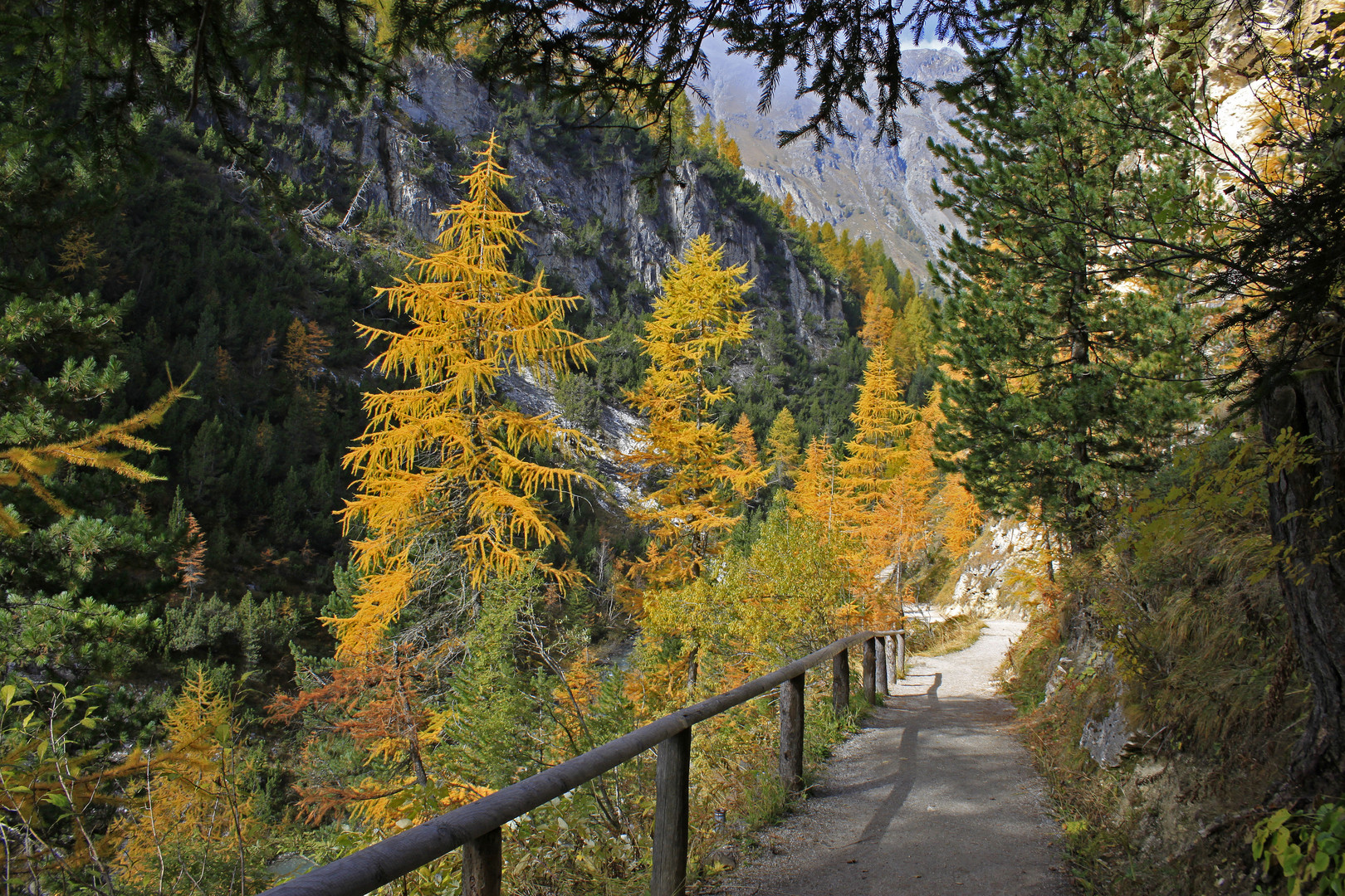 Herbstspaziergang