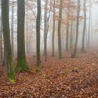 Herbstspaziergang