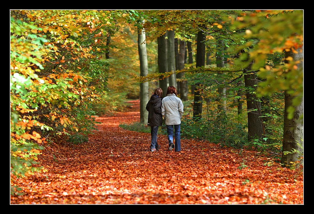 Herbstspaziergang