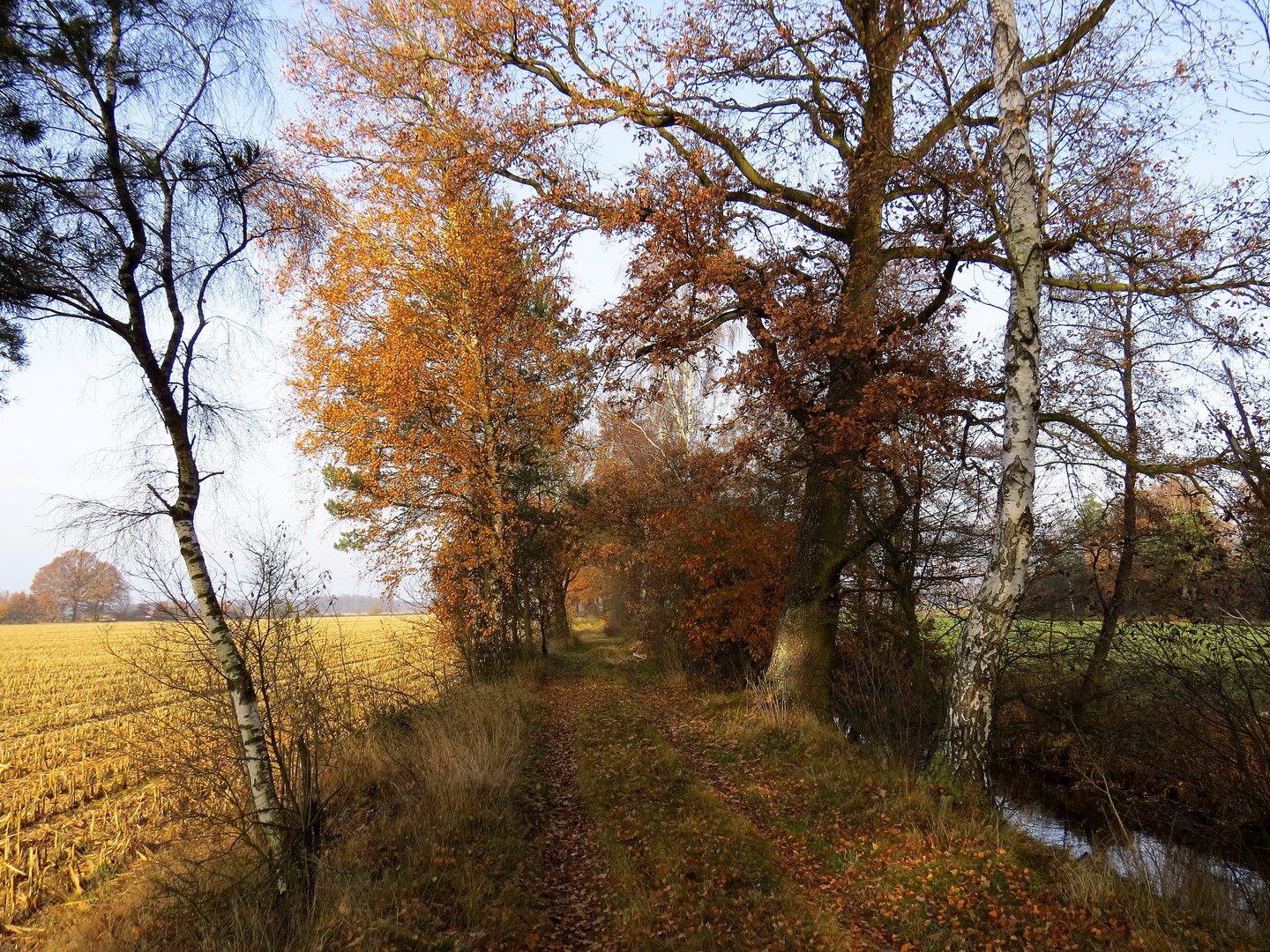 Herbstspaziergang