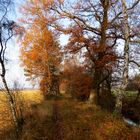 Herbstspaziergang