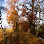 Herbstspaziergang