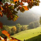 Herbstspaziergang