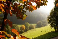 Herbstspaziergang