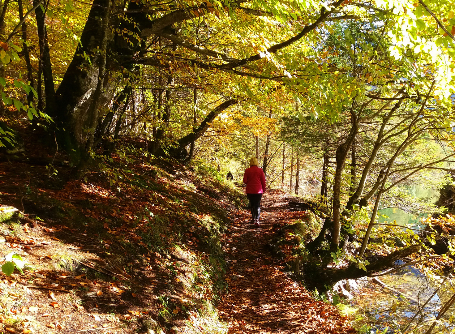 Herbstspaziergang