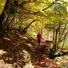 Herbstspaziergang