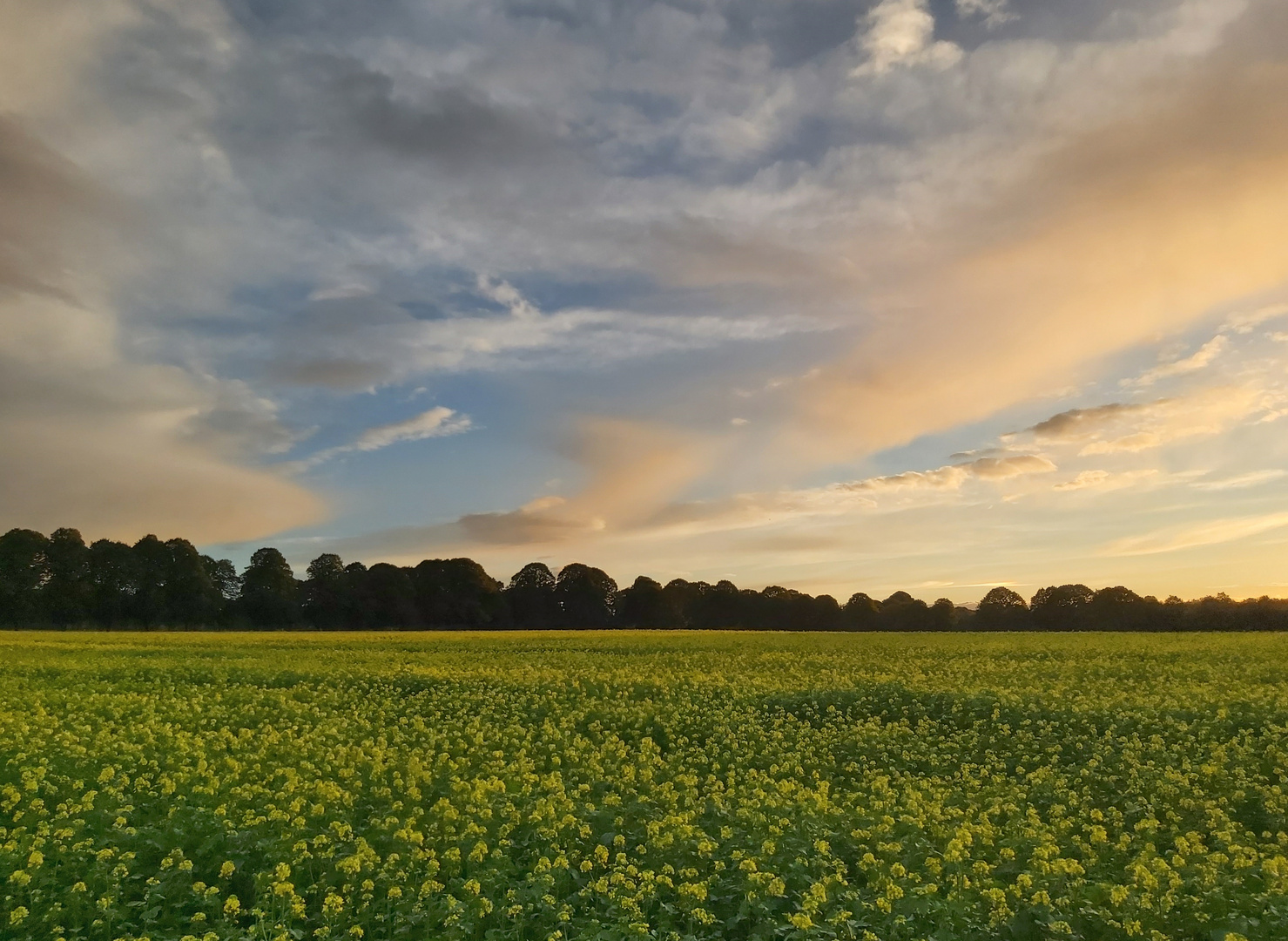 Herbstspaziergang