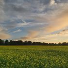 Herbstspaziergang