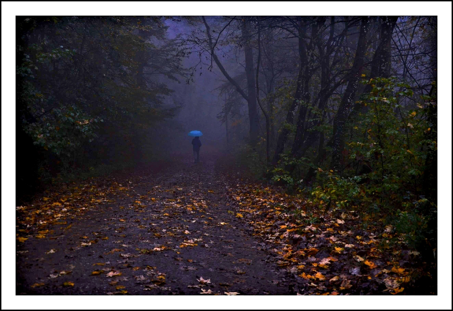 Herbstspaziergang