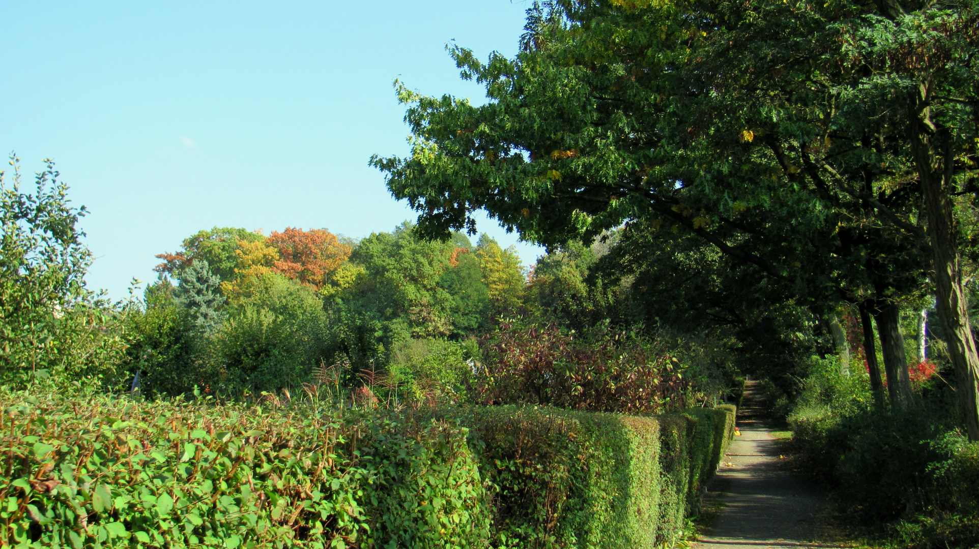 Herbstspaziergang